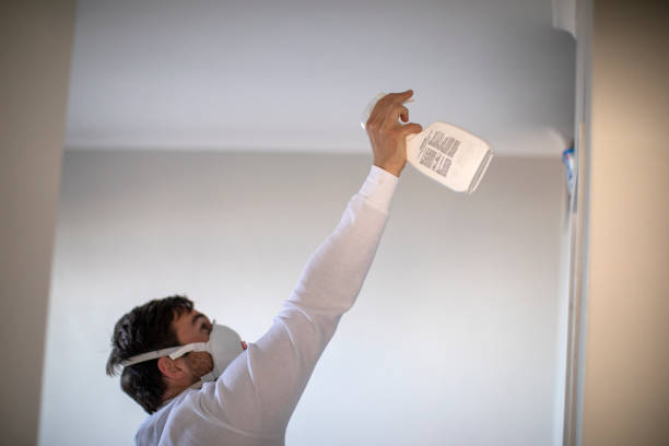Best Professional Mold Removal  in Lone Grove, OK