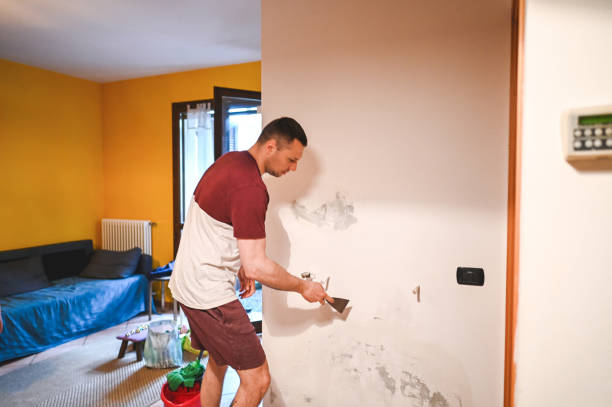 Best Office Mold Removal Services  in Lone Grove, OK